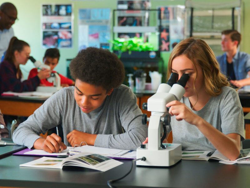 Schüler im Chemie-Unterricht