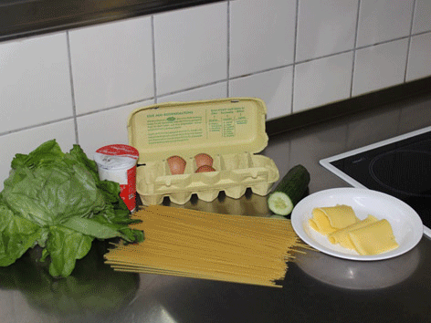 SpaghettiNester