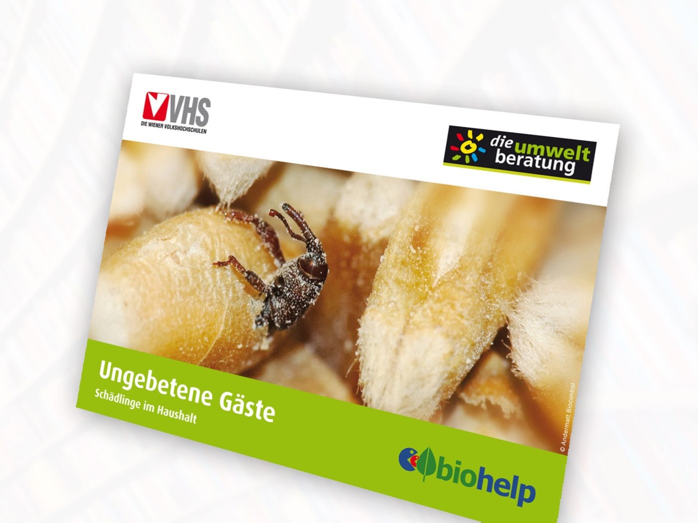 Ungebetene_Gaeste_Poster_COVER_web