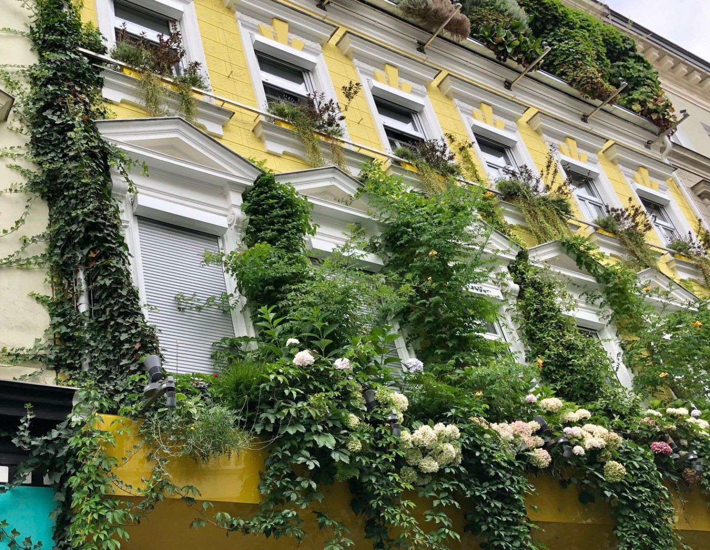Gebäude mit begrünter Fassade.