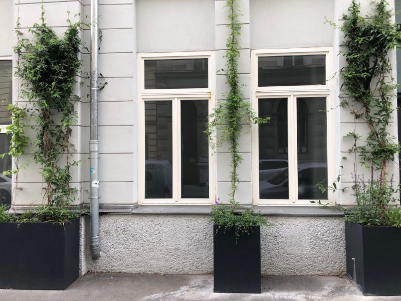 Pflanztröge an Fassade