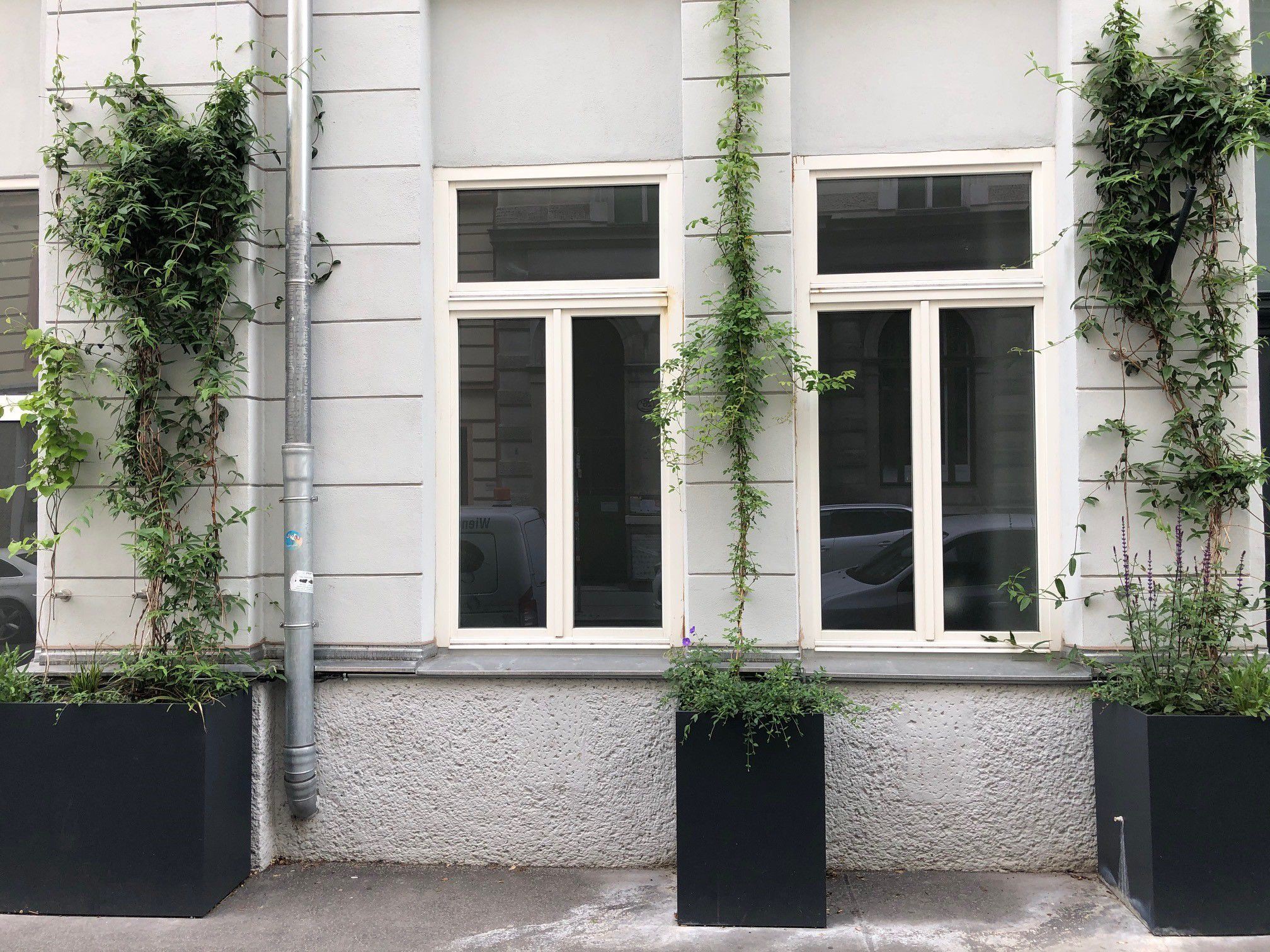 Pflanztröge an Fassade