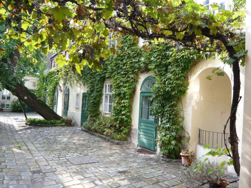 begrünter Innenhof
