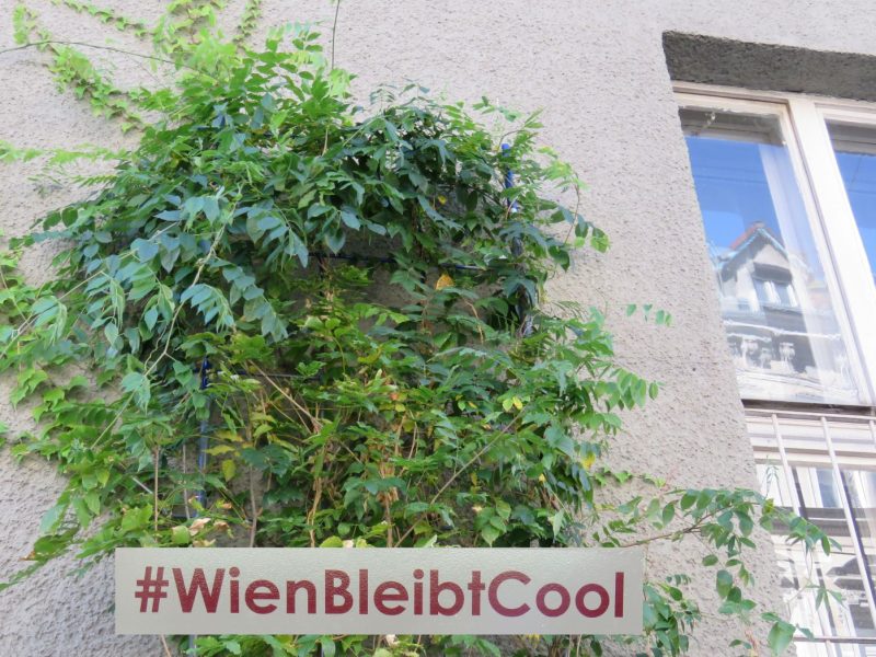 Fassadenbegrünung