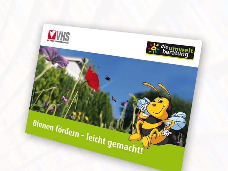 bienen-foerdern_COVER_web