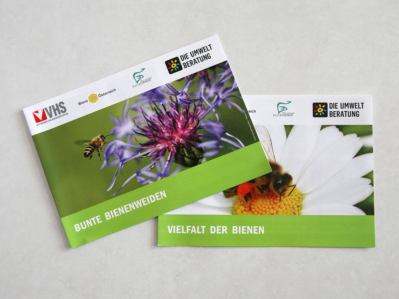 Bienen Vielfalt und Bienenweiden