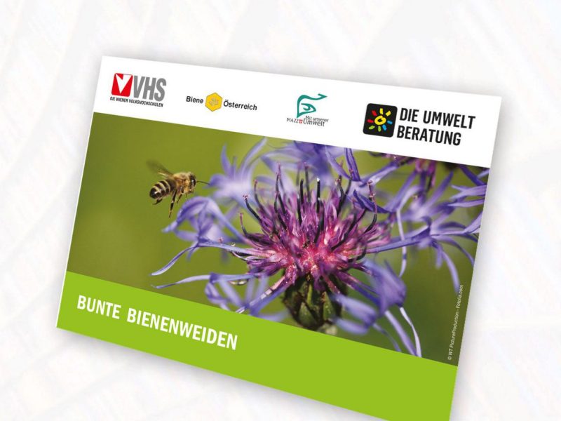 Cover Bienenweiden-Poster
