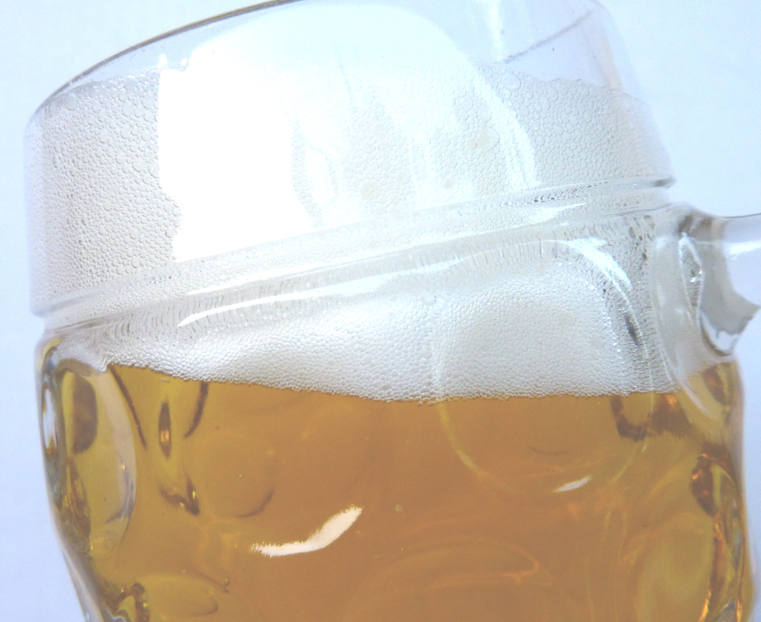 Bier