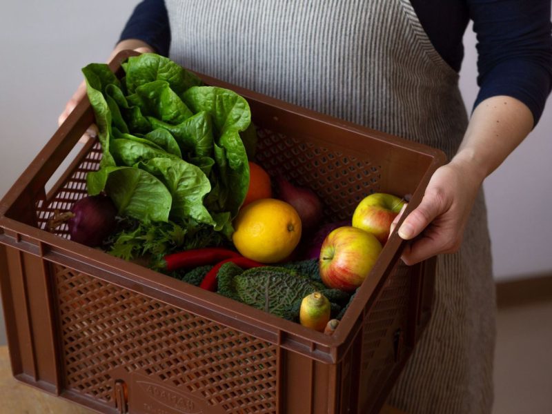 Biokistl mit Obst und Gemüse wird geliefert