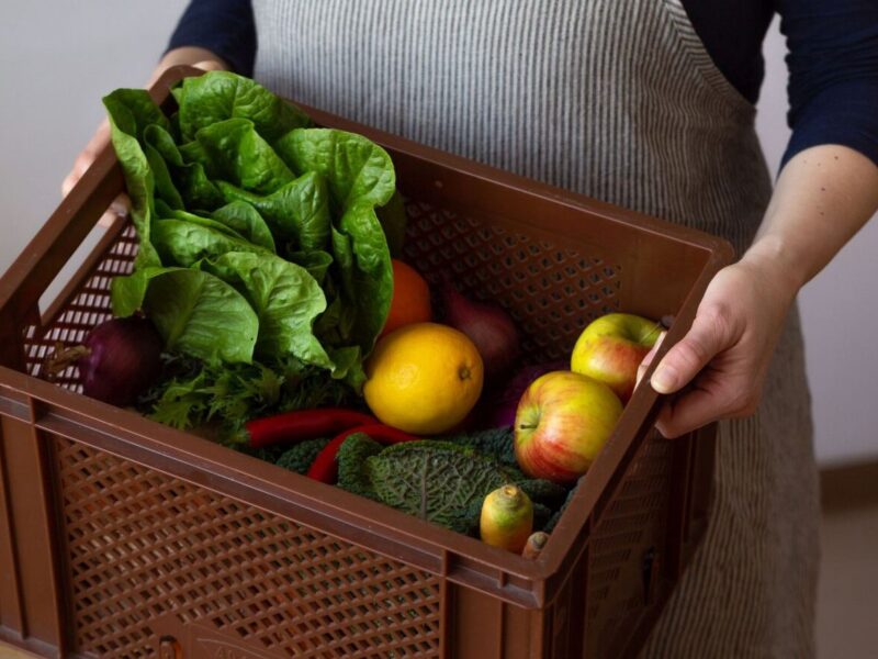 Biokistl mit Obst und Gemüse wird geliefert