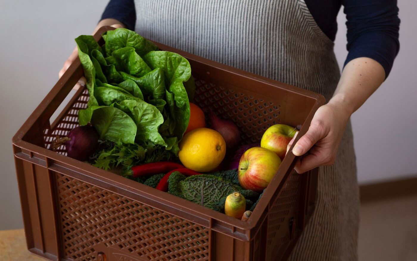 Biokistl mit Obst und Gemüse wird geliefert
