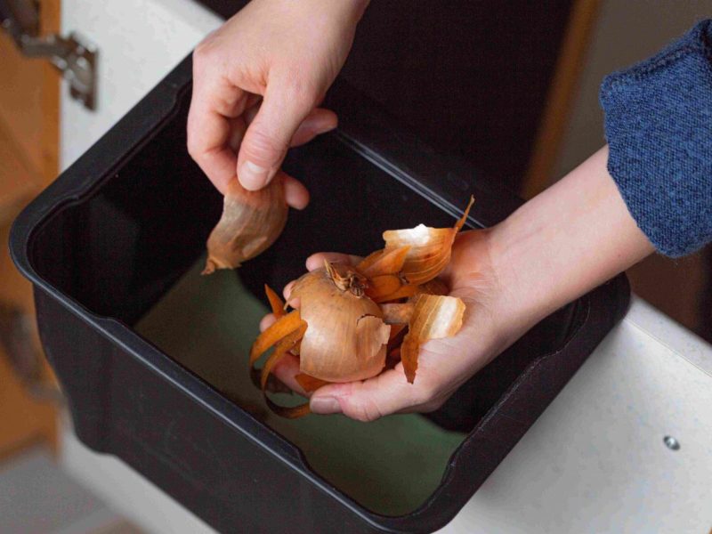 Hände geben Zwiebelschalen in den Komposmüll