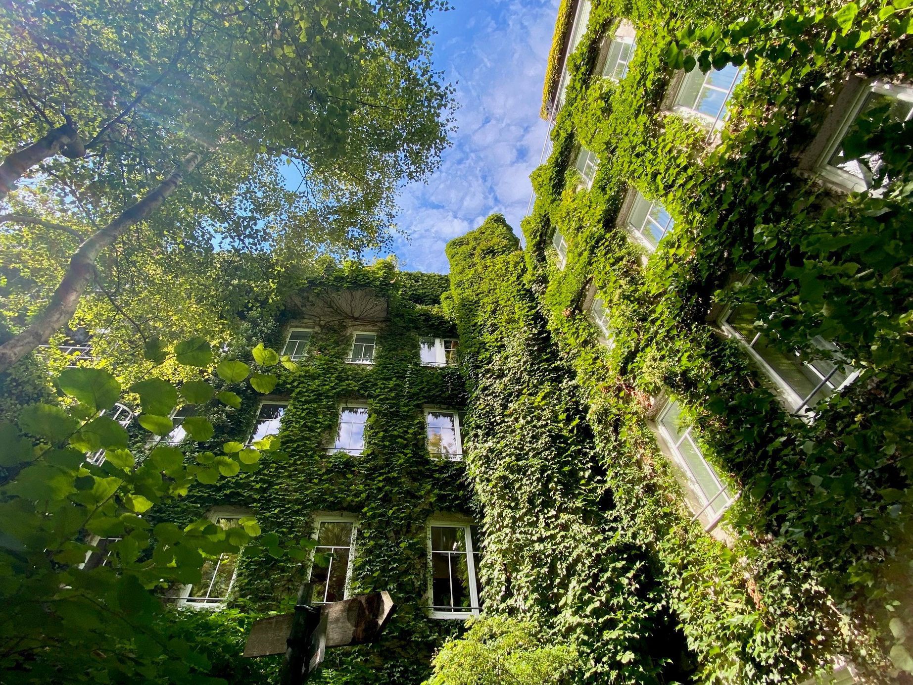 Begrünte Fassade des Boutiquehotels Stadthalle