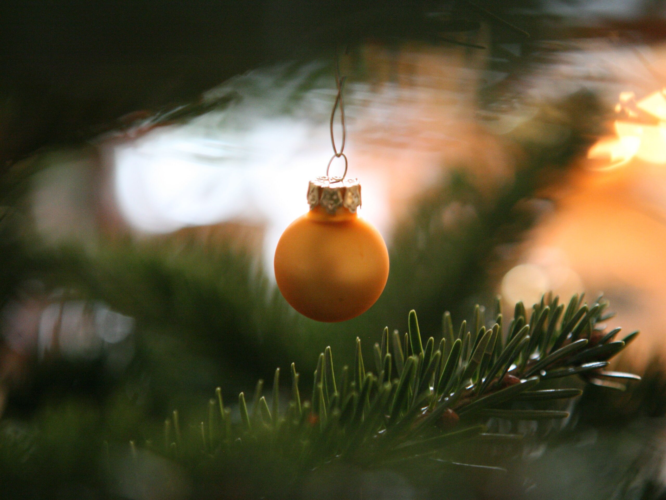 Kugel an Christbaumzweig