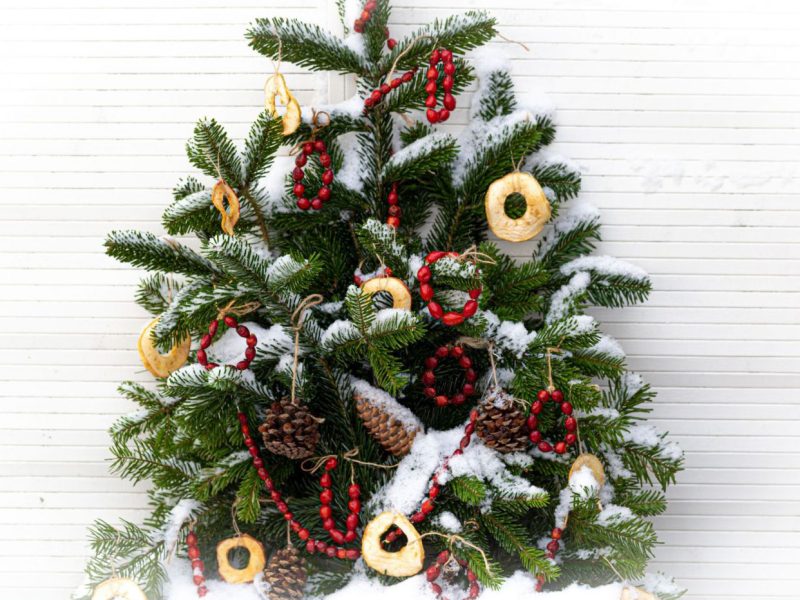 Outdoor Weihnachtsbaum mit Vogelfutter-Behang