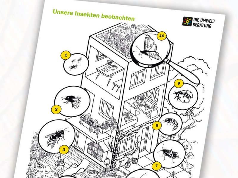 Insekten Ausmalposter 