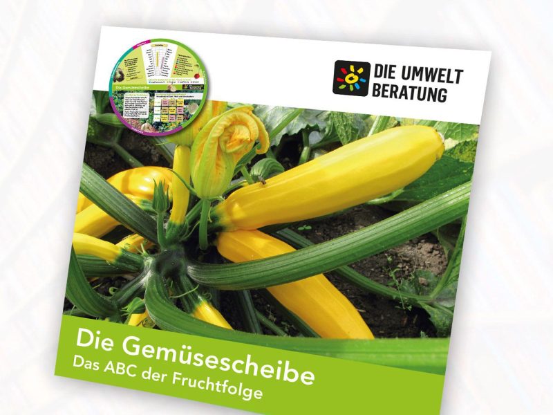 Cover Gemüsescheibe