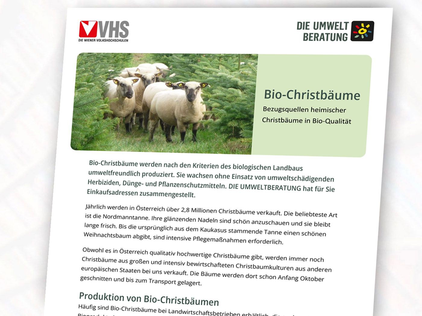 Cover des Infoblatts Bio-Christbaum