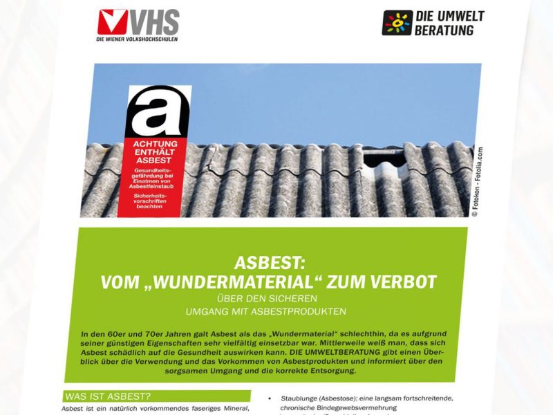 Cover des Infoblattes Asbest