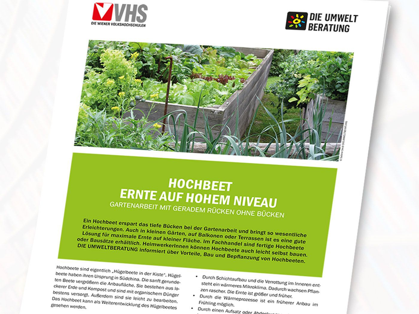 Infoblatt Hochbeet