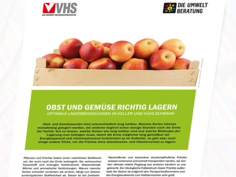 Ost und Gemüse richtig lagern