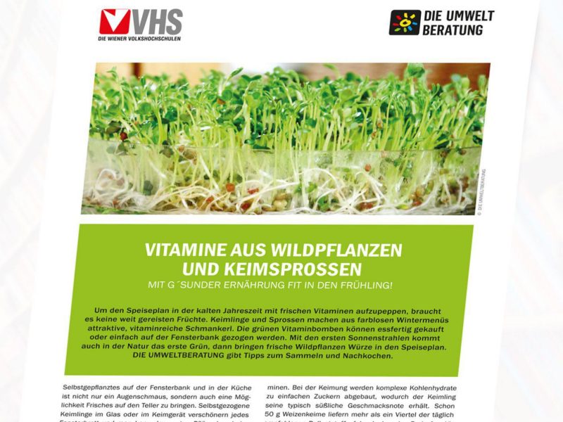 Cover vom Infoblatt Vitamine und Wildpflanzen