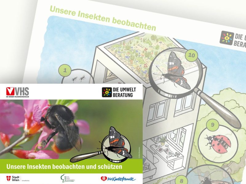 Unsere Insekten beobachten und schützen