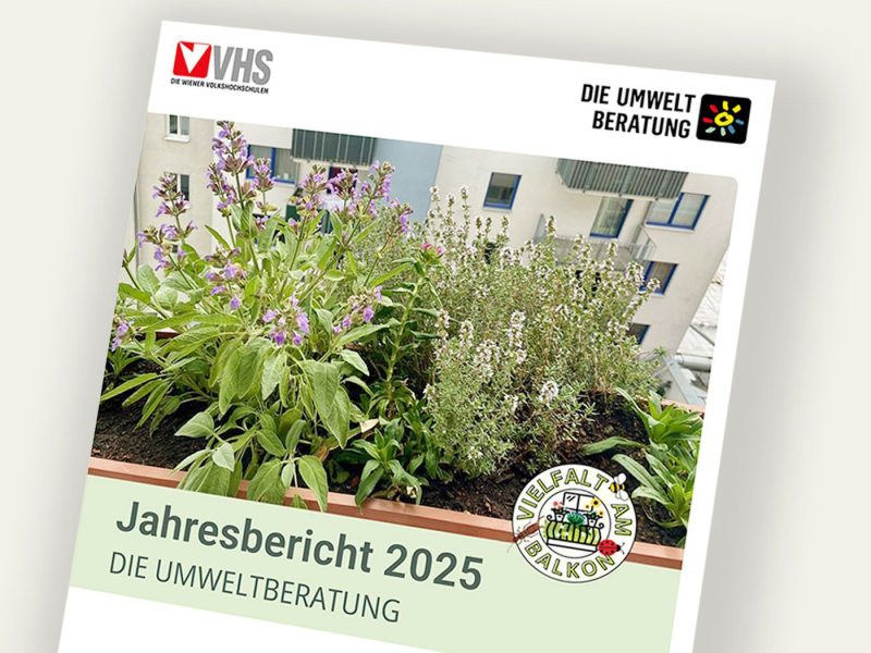 Cover  Jahresbericht 2025