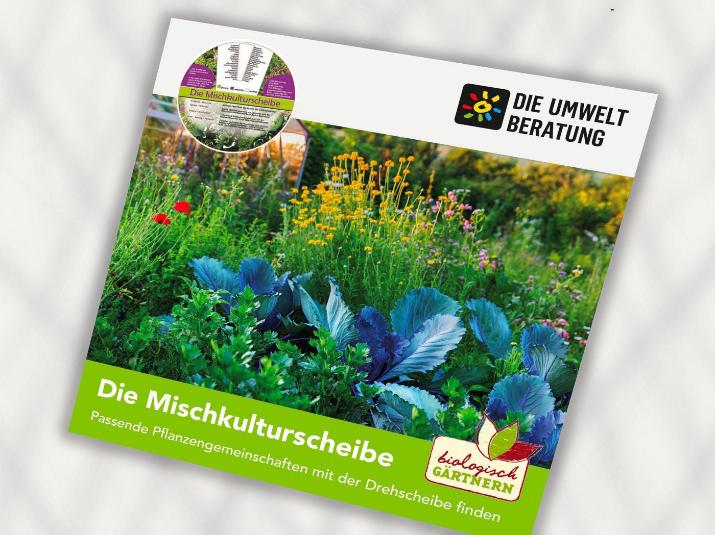 Cover der Kräuter-Mischkulturscheibe