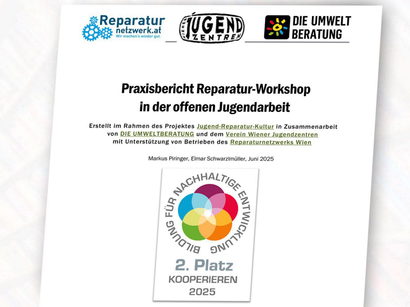 Cover des Praxisberichts