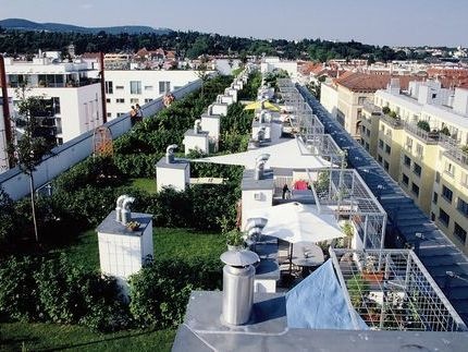Dachgarten in Wien