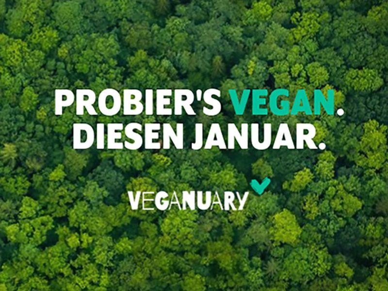 Grüner Regenwald mit Aufschrift "Probiers vegan - diesen Jänner."