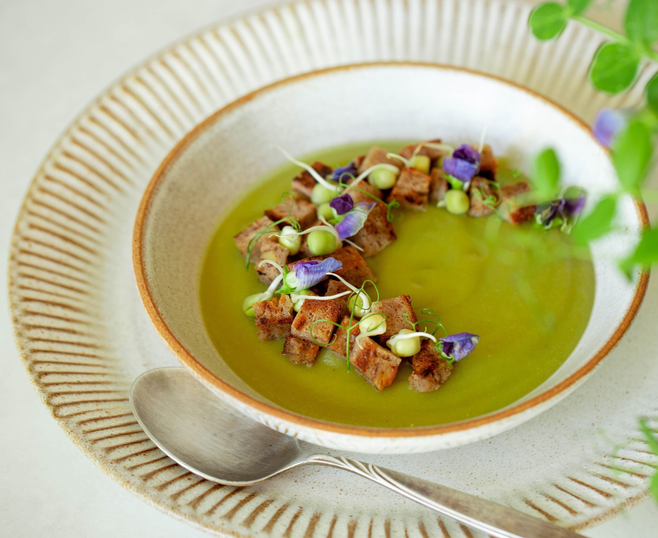 Erbsensuppe im Teller