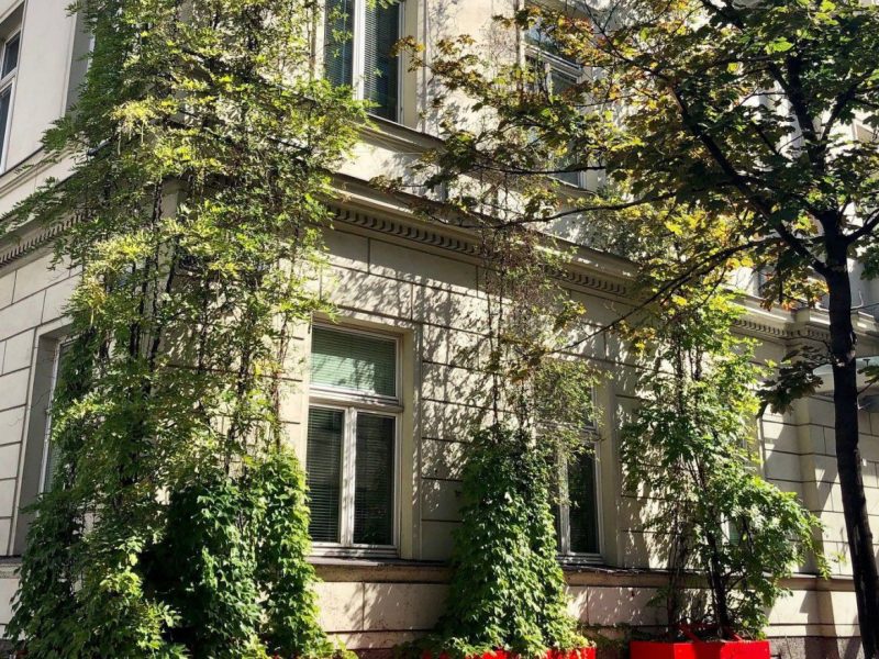 fassadenbegruenung_amtshaus