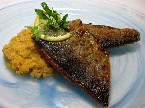 Saiblingfilet auf roten Linsen