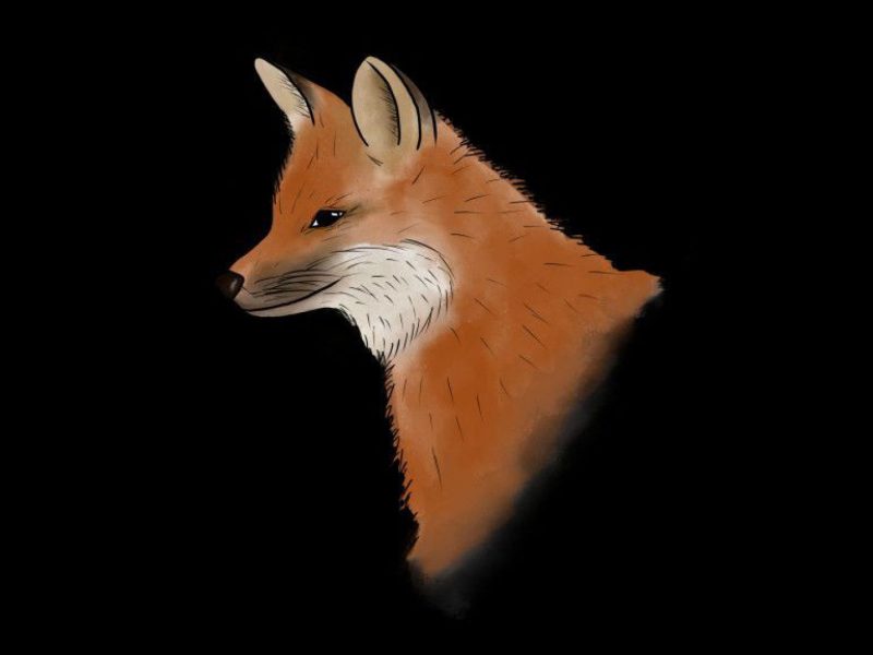 Fuchs