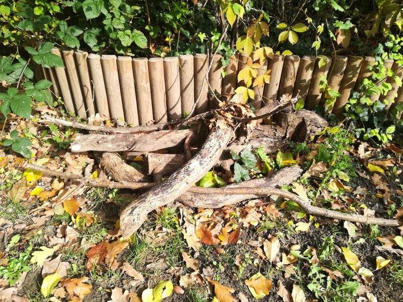 Kleiner Totholzhaufen im Garten