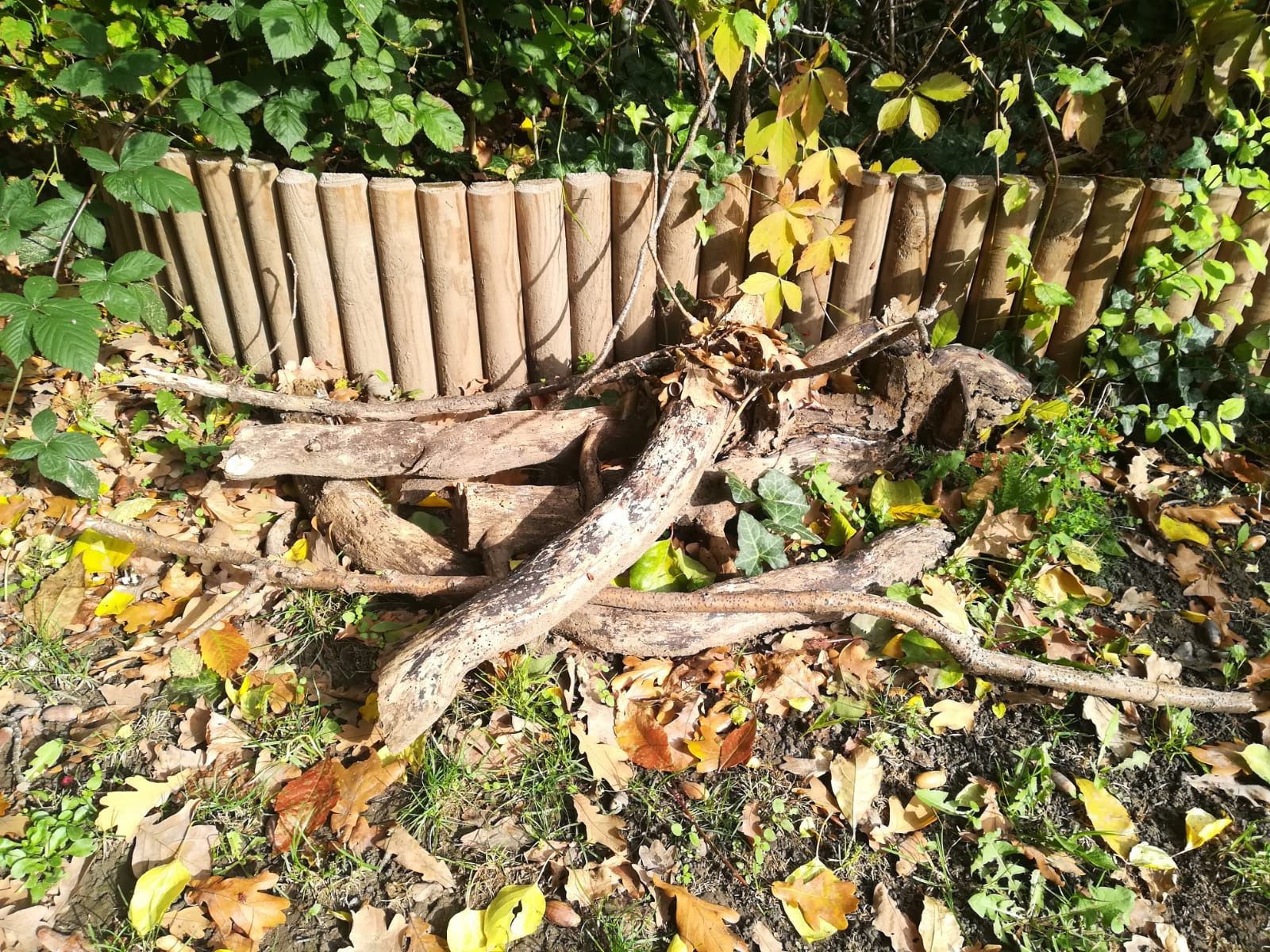 Kleiner Totholzhaufen im Garten