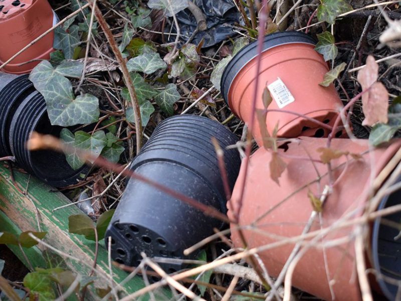 Leere Platiktöpfe liegen in der Natur