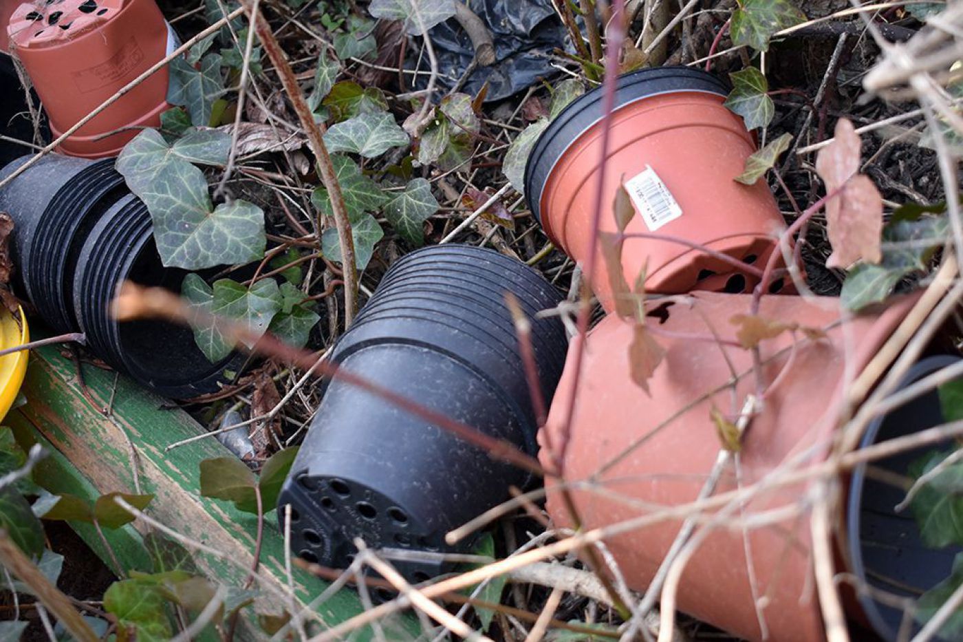 Leere Platiktöpfe liegen in der Natur