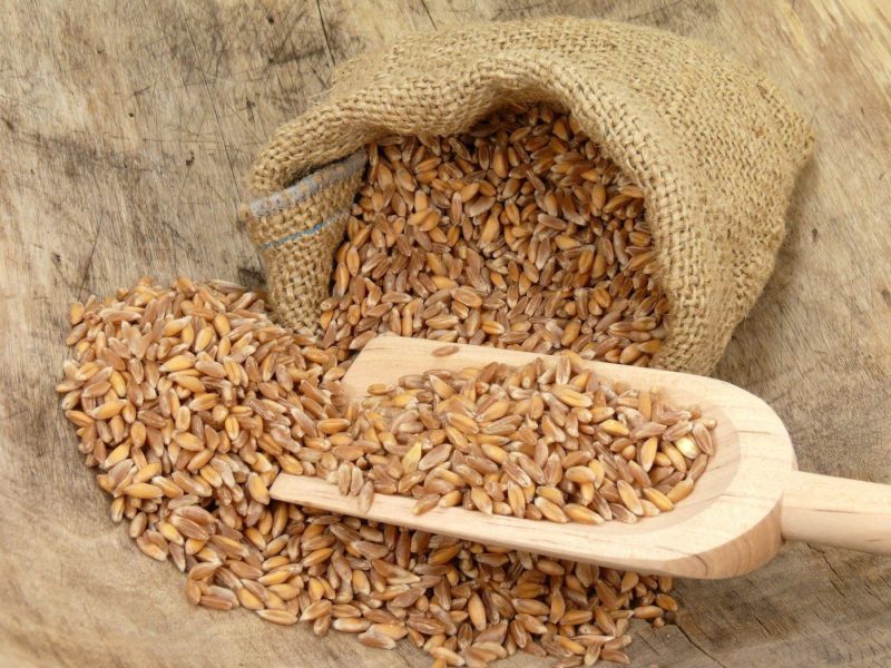 volles Korn: Dinkel im Sack
