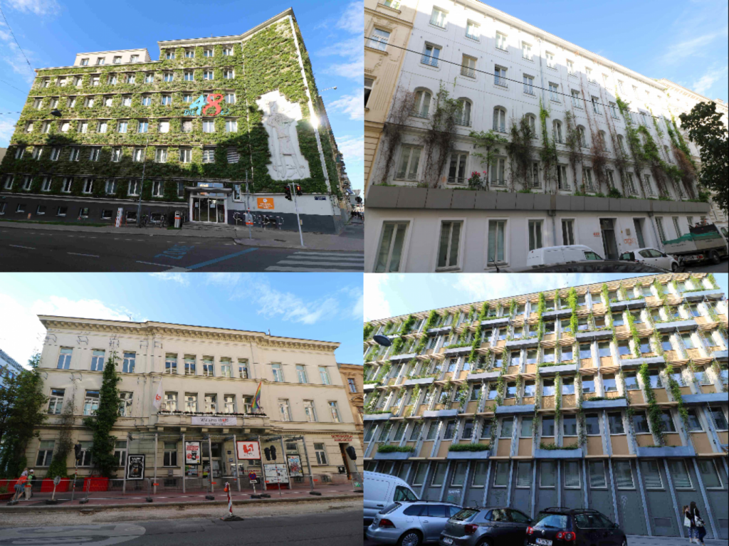 Grüne  Fassaden