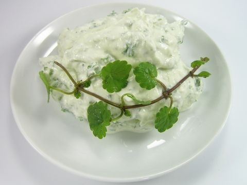 Wildkräutertopfen