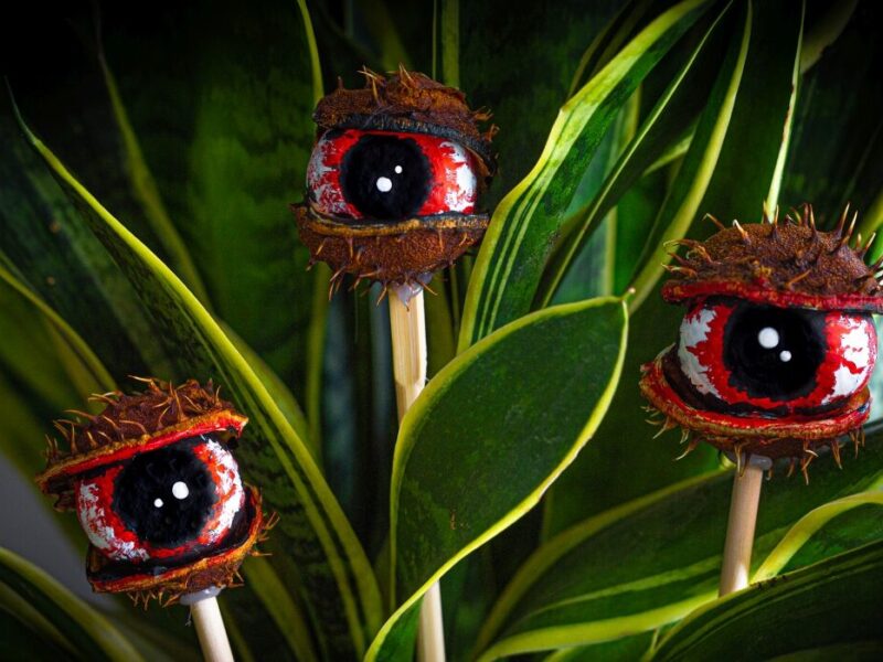 Halloween-Monsteraugen aus Kastanien