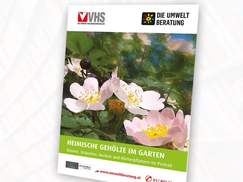 Broschüre Heimische Gehölze