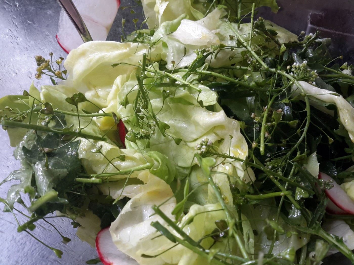 Grüner Salat mit Hirtentäschel und Löwenzahn