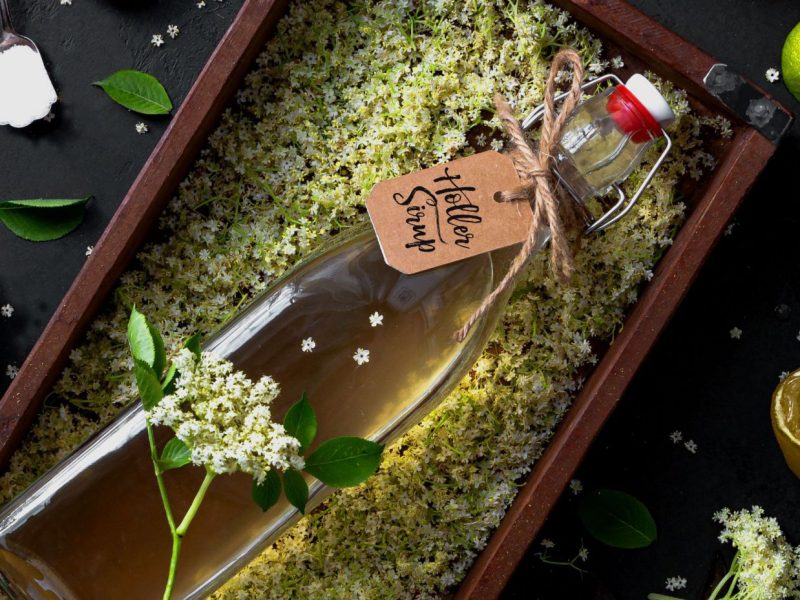Holundersirup in der Glasflasche