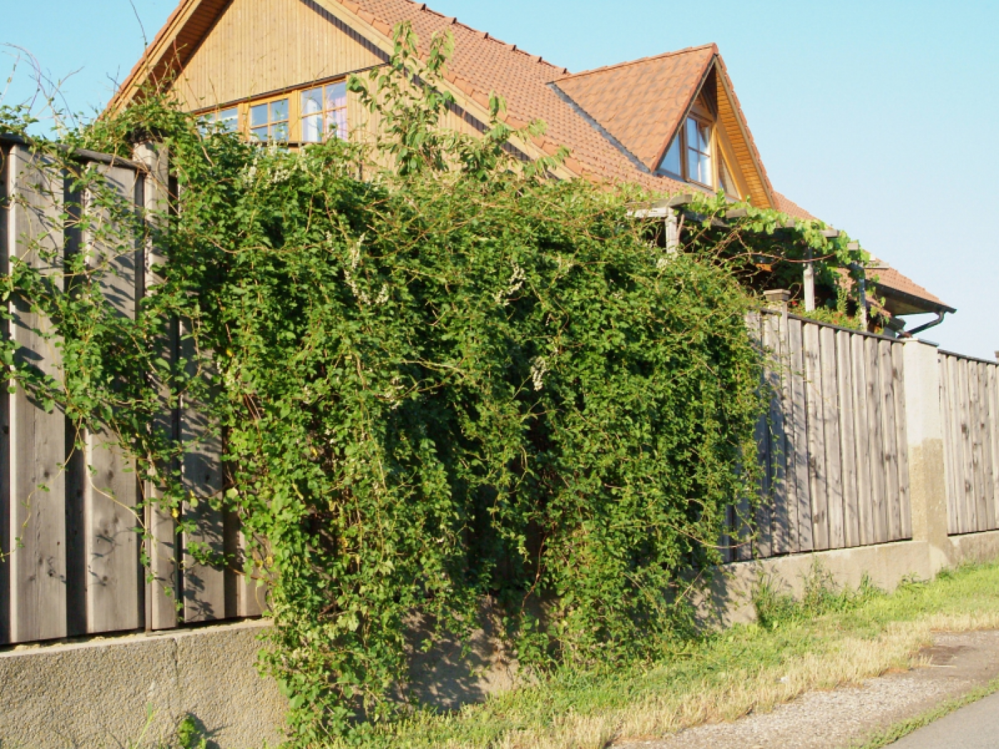 Haus mit Holzzaun davor