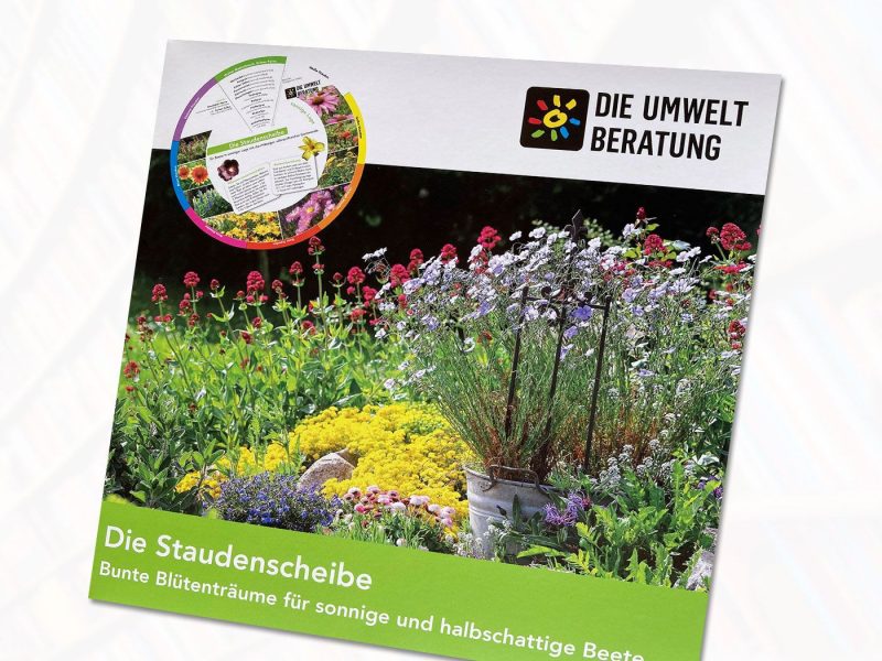 Cover Staudenscheibe