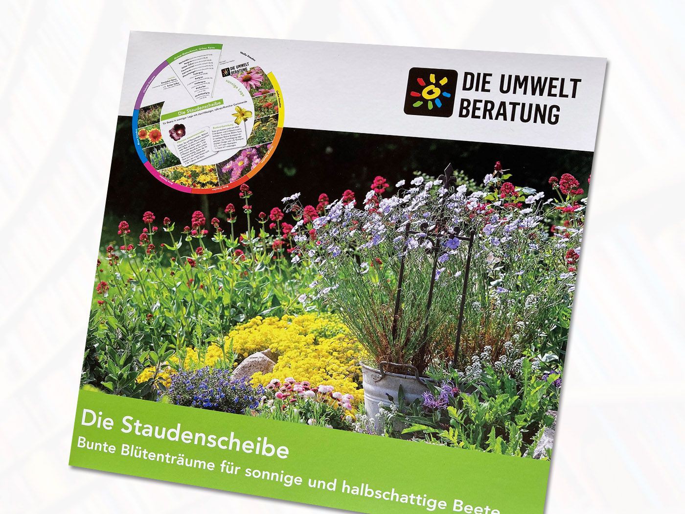 Cover Staudenscheibe
